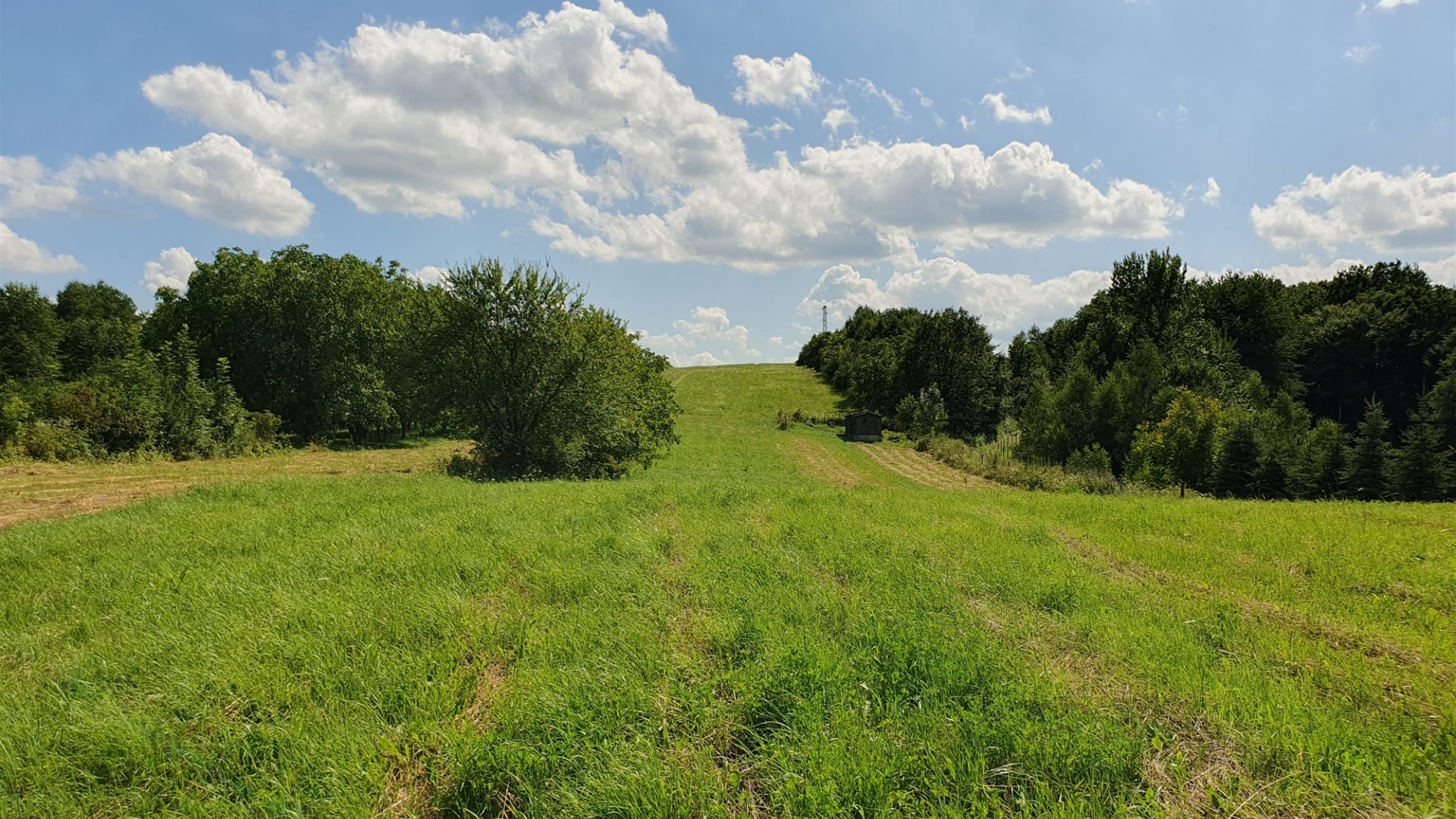 Działka na sprzedaż, Sanok, Dąbrówka