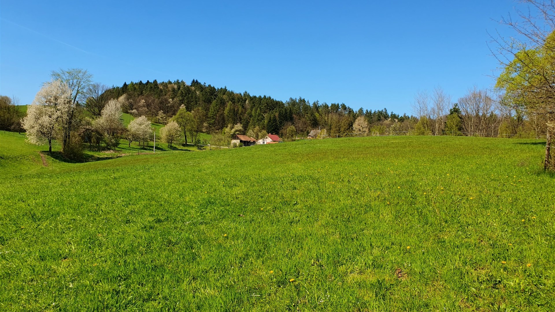 Miejscowość Postołów 23 ar z WZ
