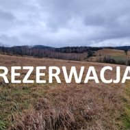 Działka budowlana pow. 31a Czaszyn