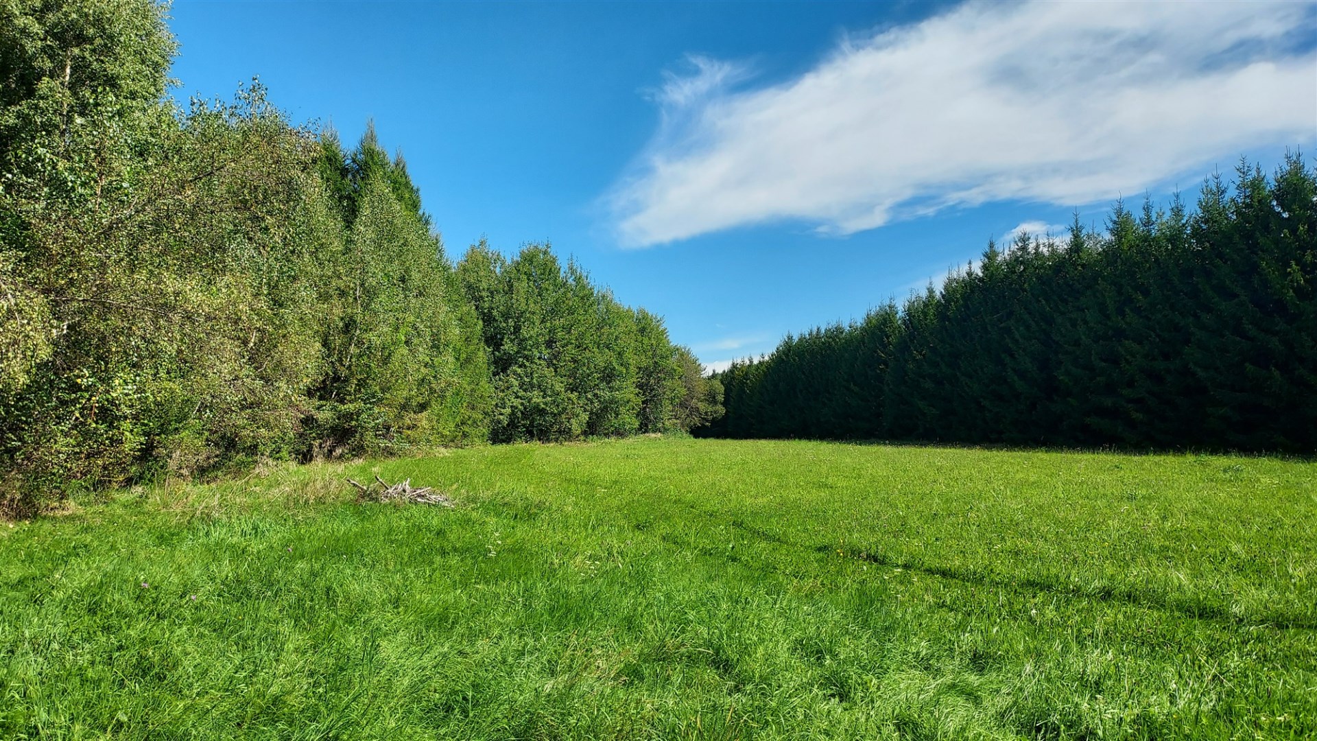 Działka 2,2ha BIESZCZADY Czarna Górna