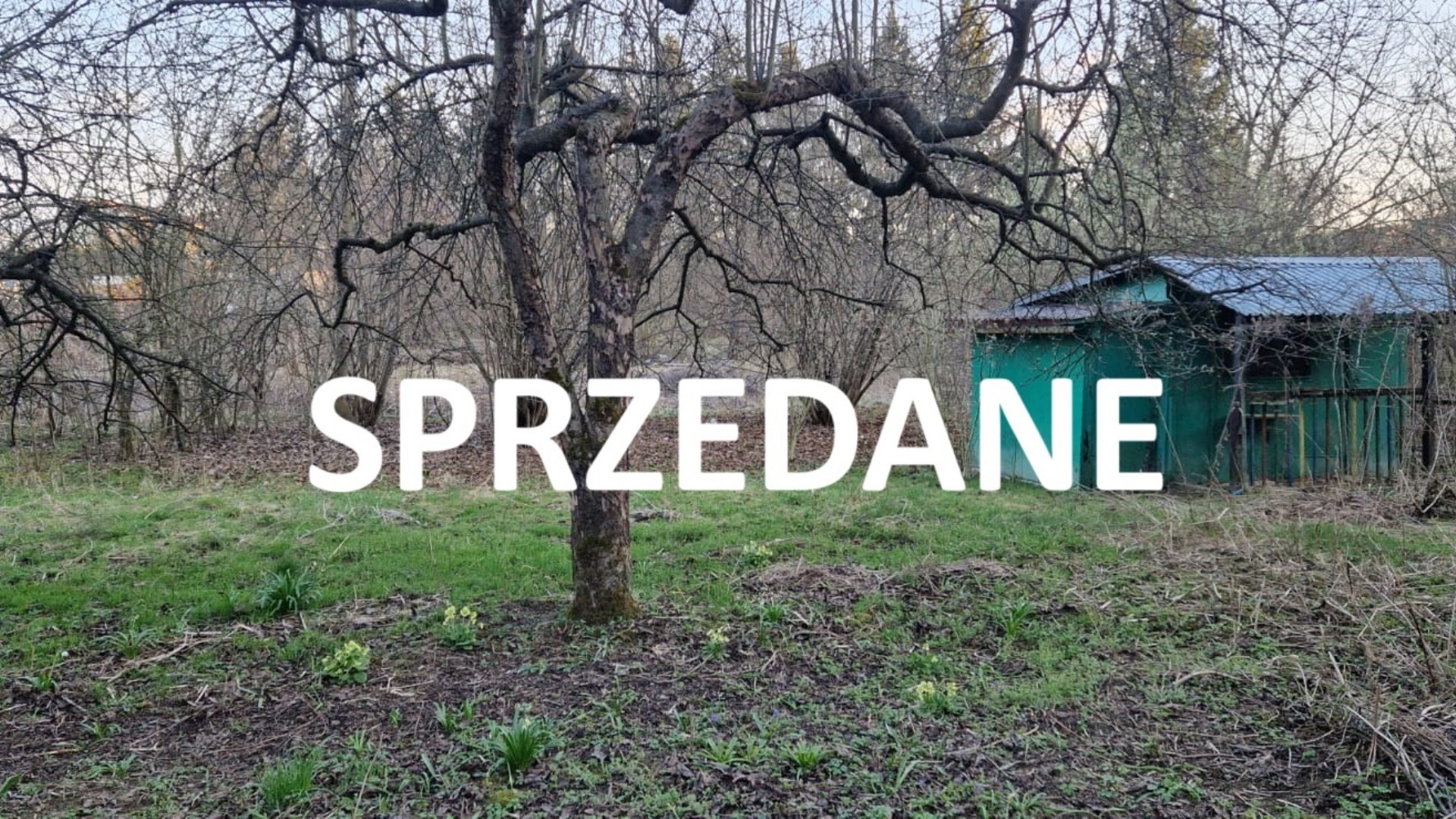 Atrakcyjna działka blisko widokowej skały