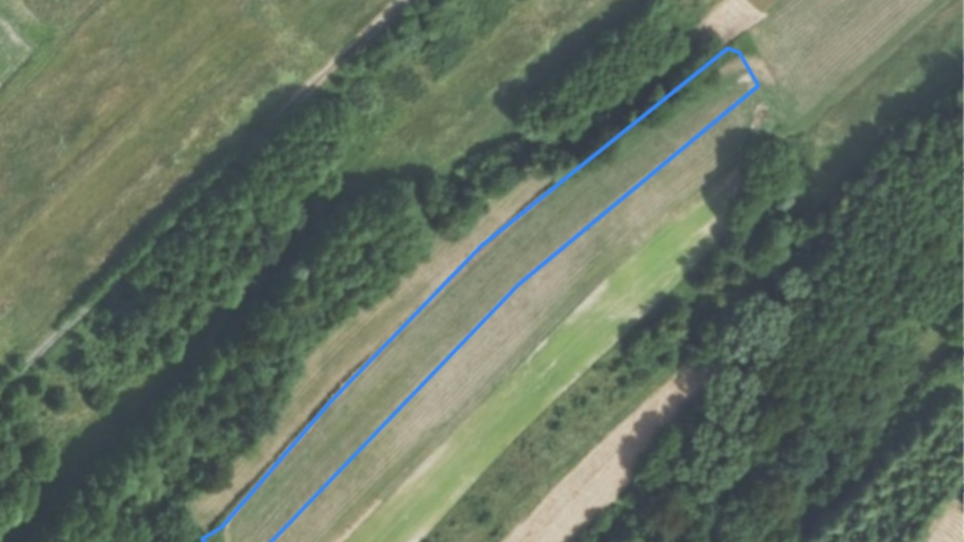 Działka rolna w Strachocinie