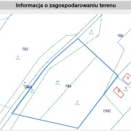 Działka w miejscowości Wydrna