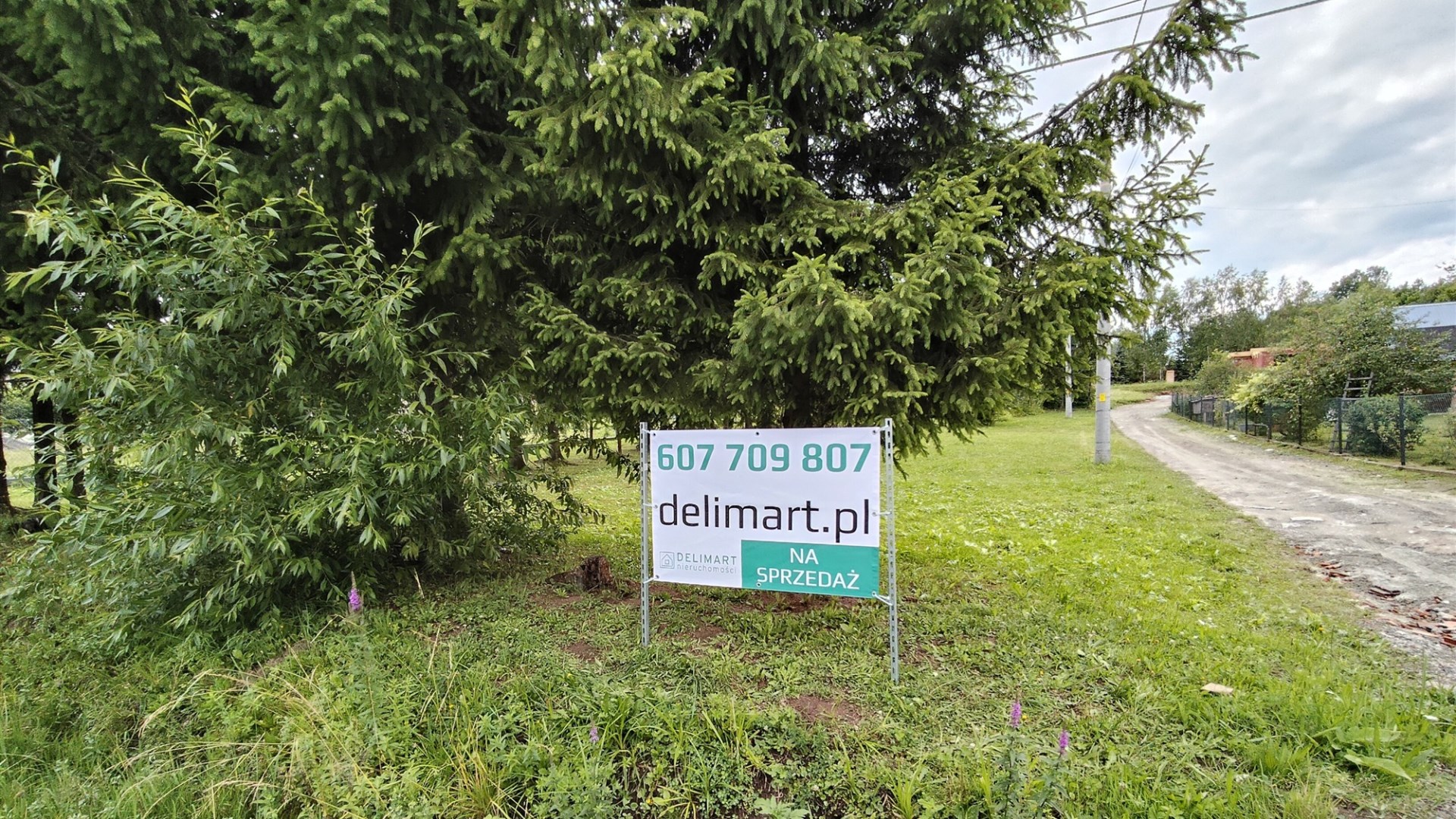 Działka z drewnianym domem w Falejówce 