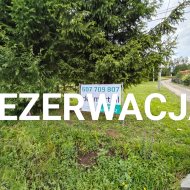 Działka z drewnianym domem w Falejówce 