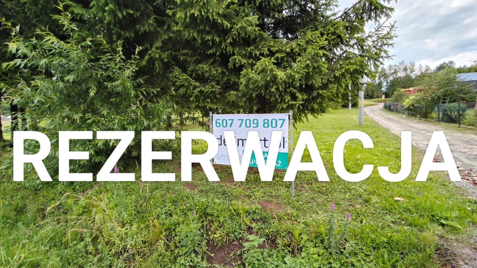 Działka z drewnianym domem w Falejówce 
