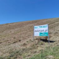 Polana-Bieszczady widokowe działki - WZ w trakcie