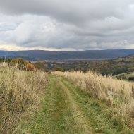 Działka z potencjałem inwestycyjnym obok winnicy  