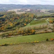 Działka z potencjałem inwestycyjnym obok winnicy  