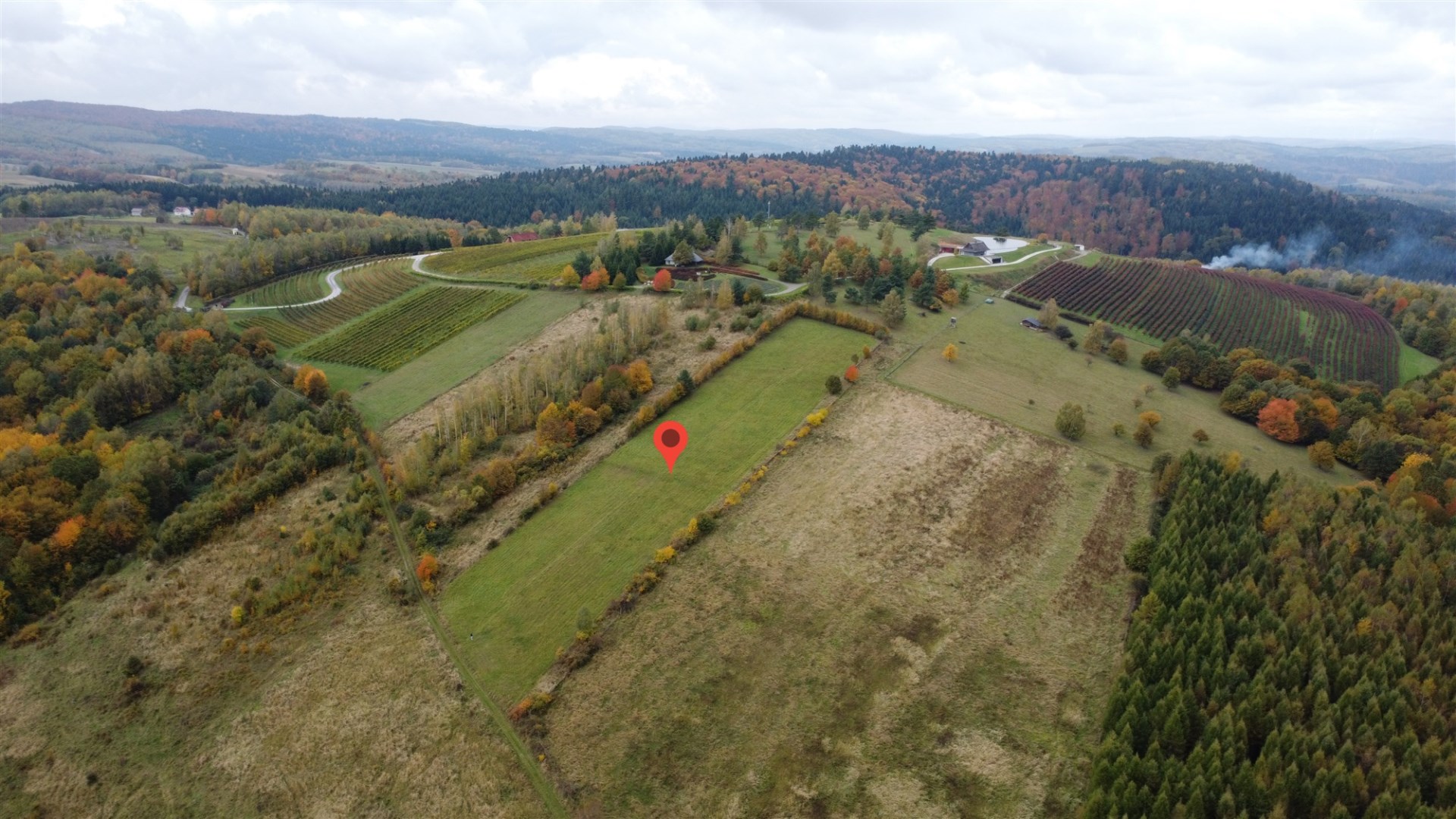 Działka z potencjałem inwestycyjnym obok winnicy  