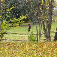 Piękna widokowa działka Srogów Dolny