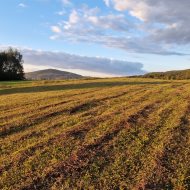 Widokowe działki z WZ Srogów Dolny