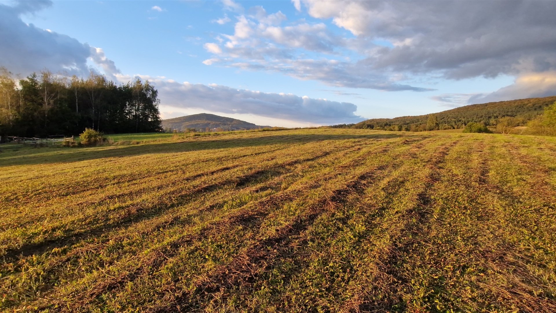 Widokowe działki z WZ Srogów Dolny