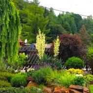 Dom w atrakcyjnej lokalizacji Zagórz