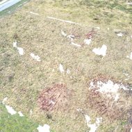 Grunt rolny z potencjałem – Jędruszkowce