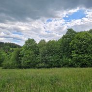 Wyjątkowa działka z projektem domu, Ropienka