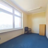 Reprezentacyjny lokal 250 m² w sercu Leska