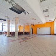 Reprezentacyjny lokal 250 m² w sercu Leska