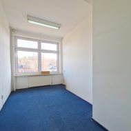 Reprezentacyjny lokal 250 m² w sercu Leska