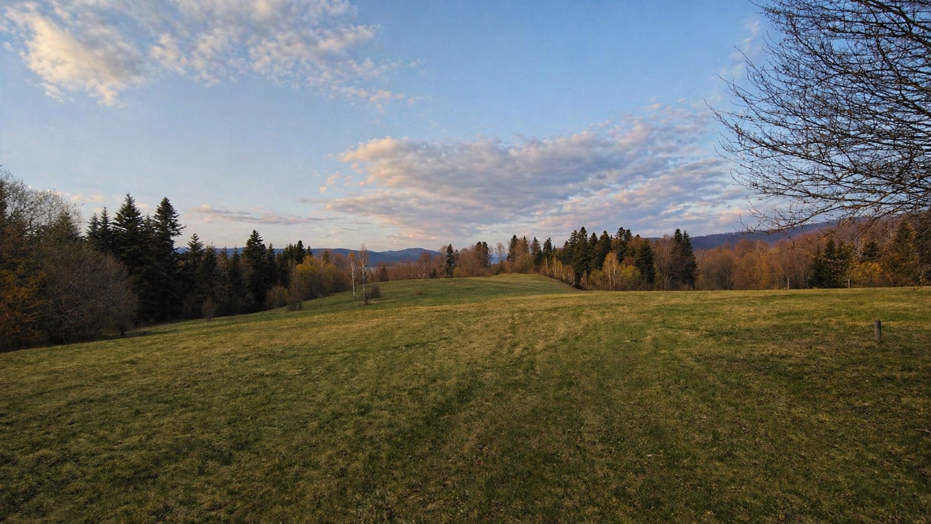 Działka w Bieszczadach - Werlas 