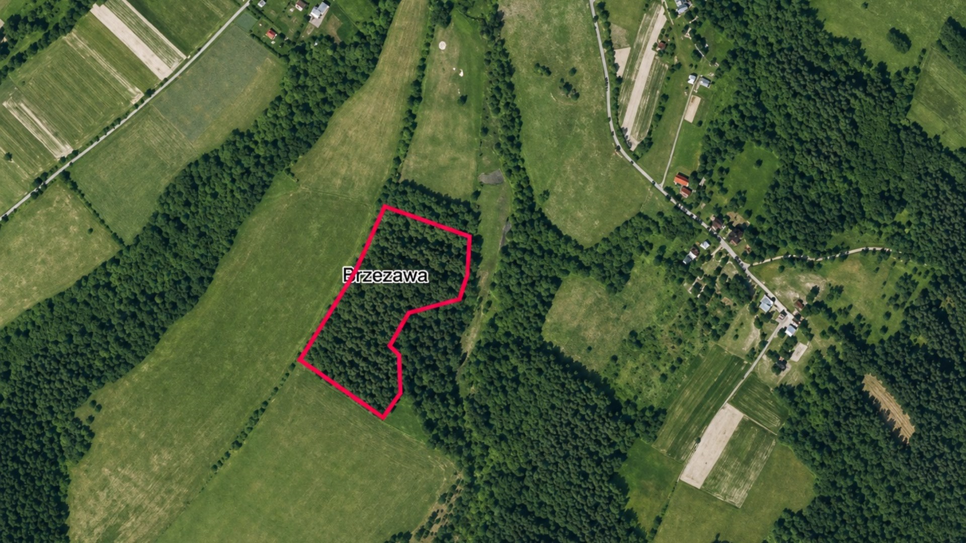 Działka rolna - Brzeżawa  ponad  4ha 