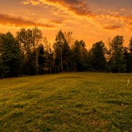 Działka z WZ 12ar  -  Werlas Bieszczady 