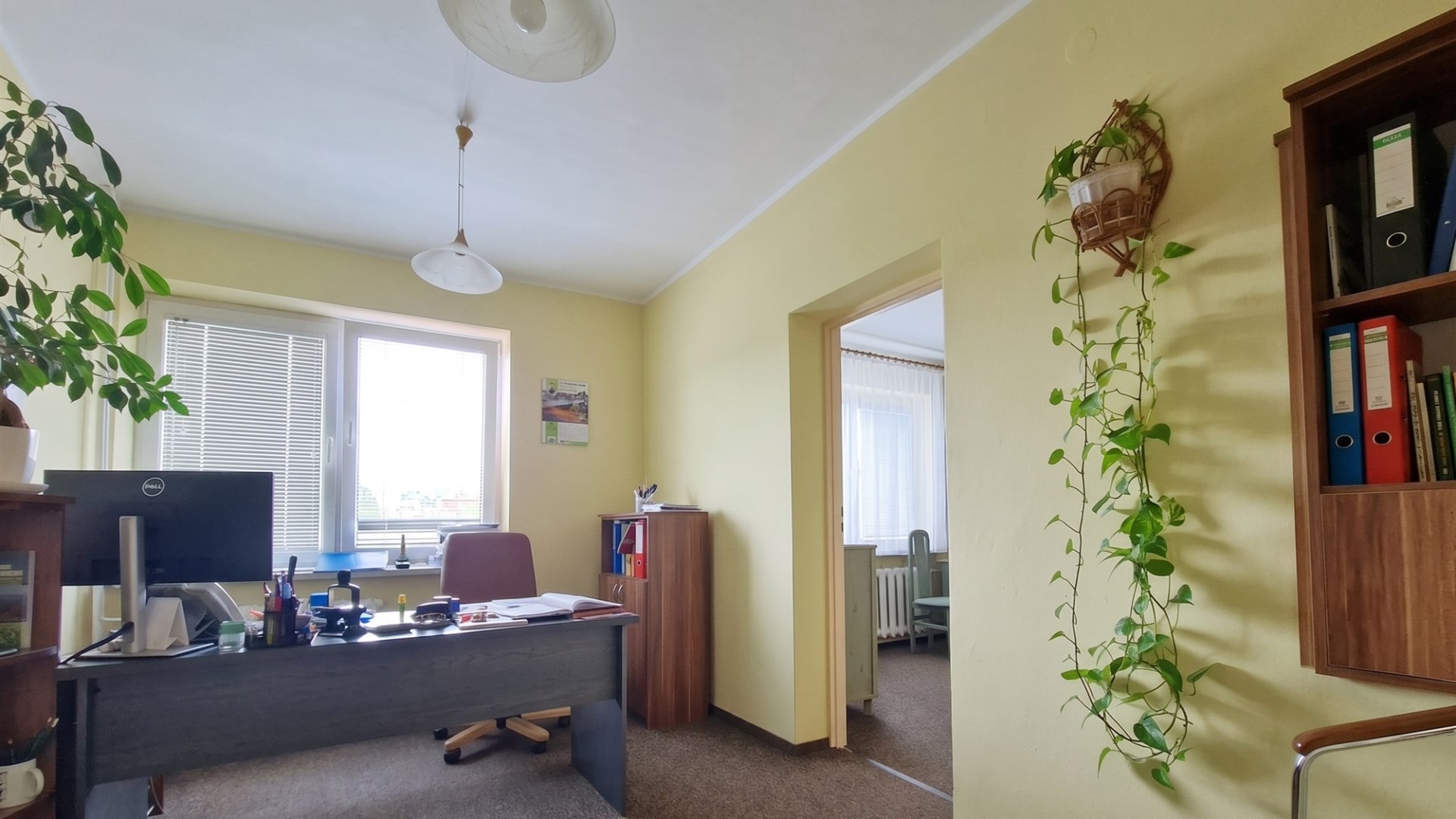 Lokal biurowy 39 m2, Sanok,Śródmieście