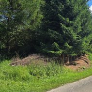  Działka z WZ, 85 ar, Grabownica Starzeńska