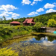Agroturystyka-dom,dwa domki, 2ha ziemi - Wańkowa 