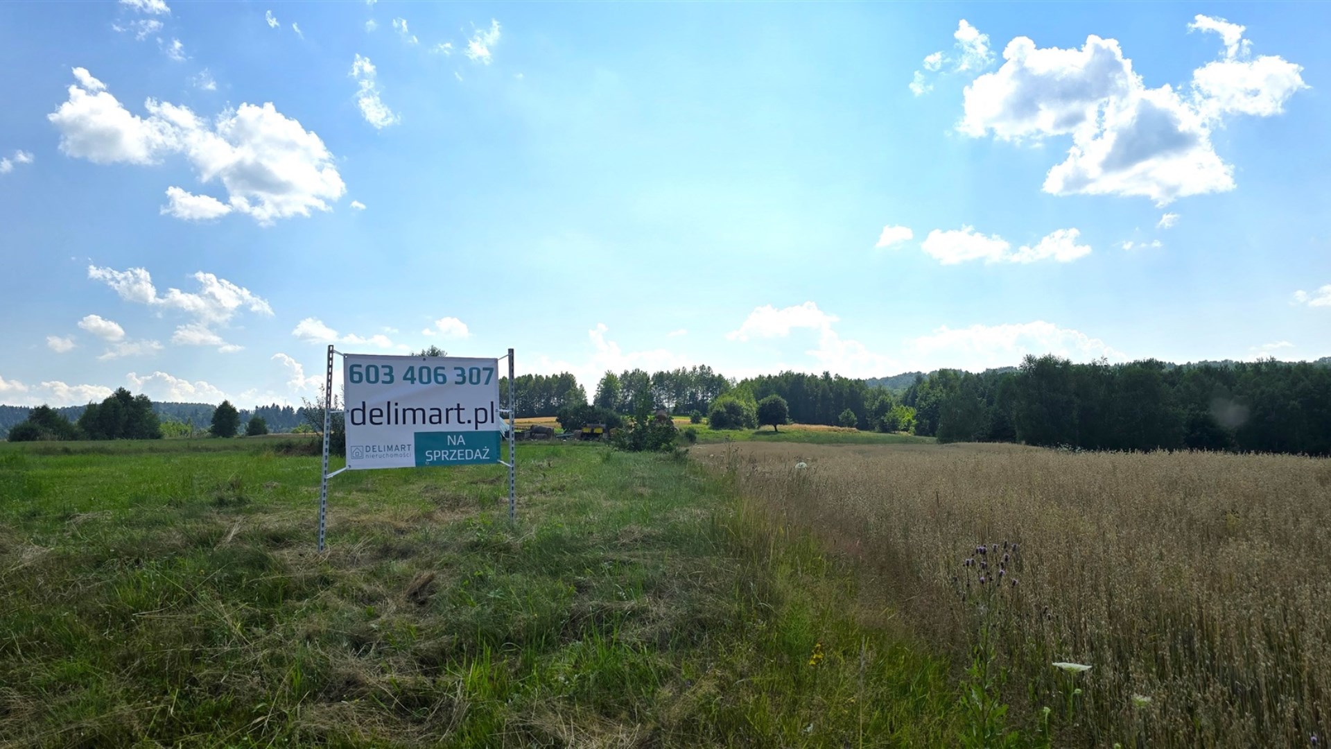 Działka z WZ pod budowę domu – Dydnia, 20,52 ara