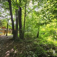 Solina, Topowa działka 1022 m² nad samą wodą