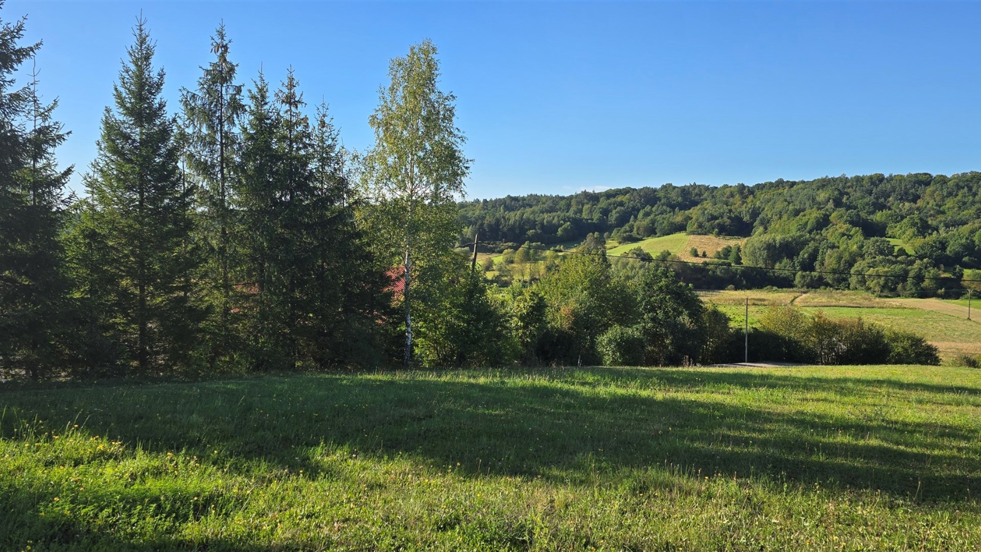  Działka 12 ar z WZ, Srogów Dolny