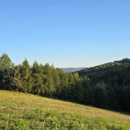 Działka z WZ, Łodzina, gm. Sanok