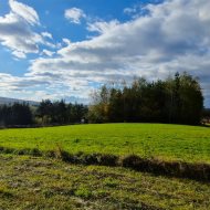 Widokowa działka 17 ar z WZ, Srogów Dolny