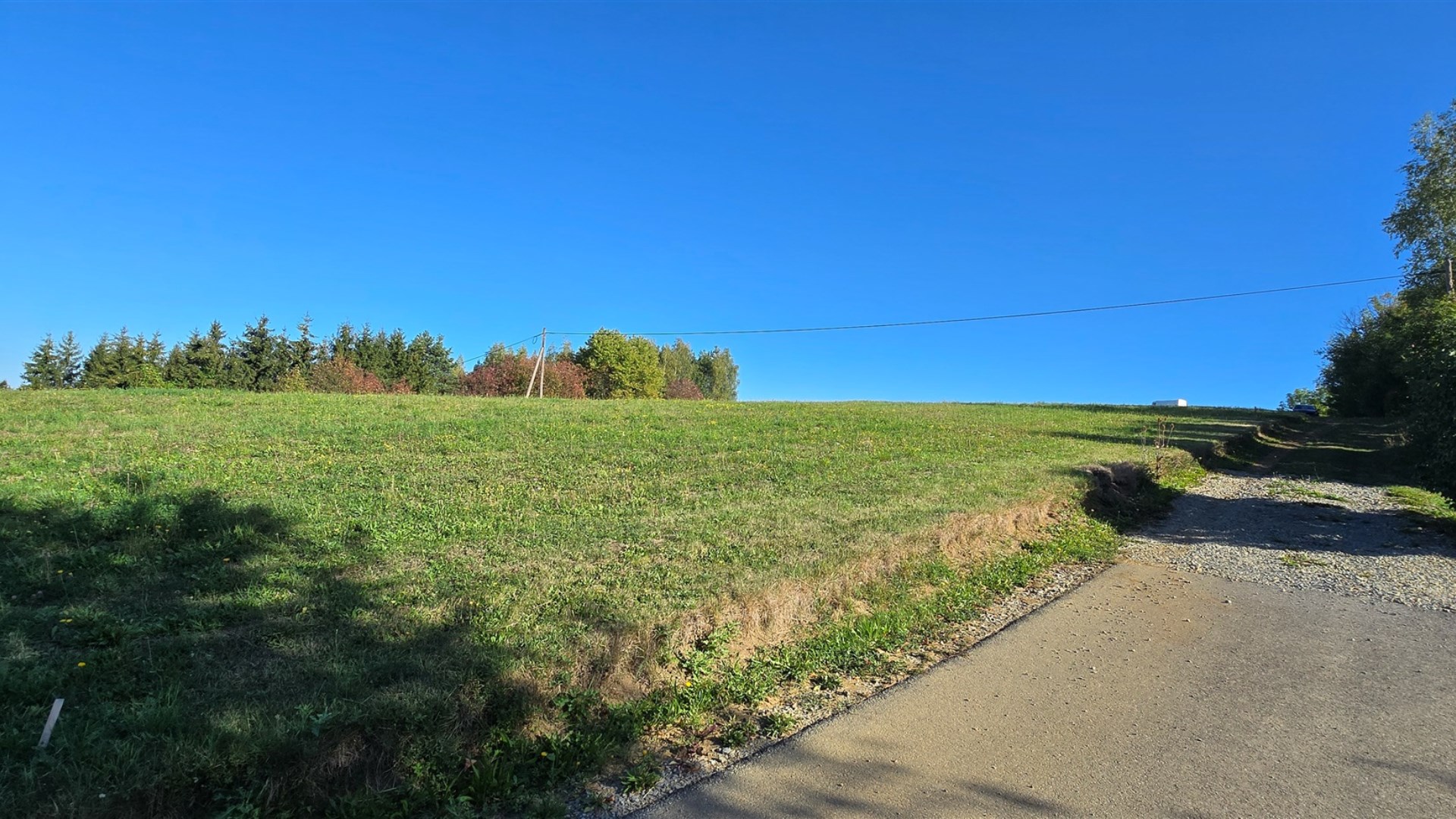 Widokowa działka 17 ar z WZ, Srogów Dolny