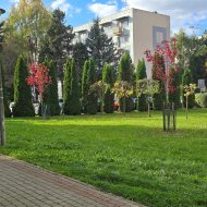 Mieszkanie na wynajem, 2 pokoje,parter Krosno, 